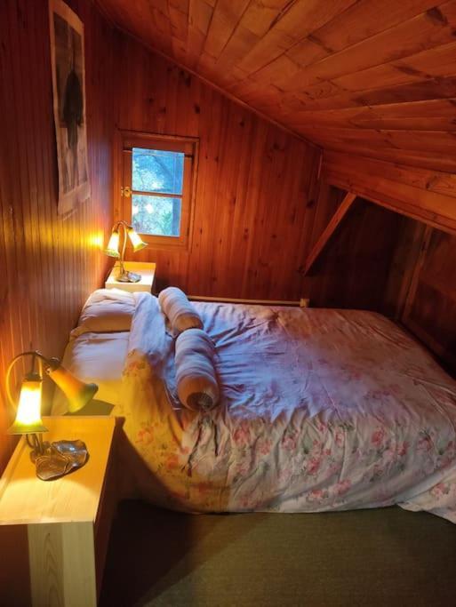 Chalet Accueillant Et Familial Saint-Martin-Vésubie Esterno foto